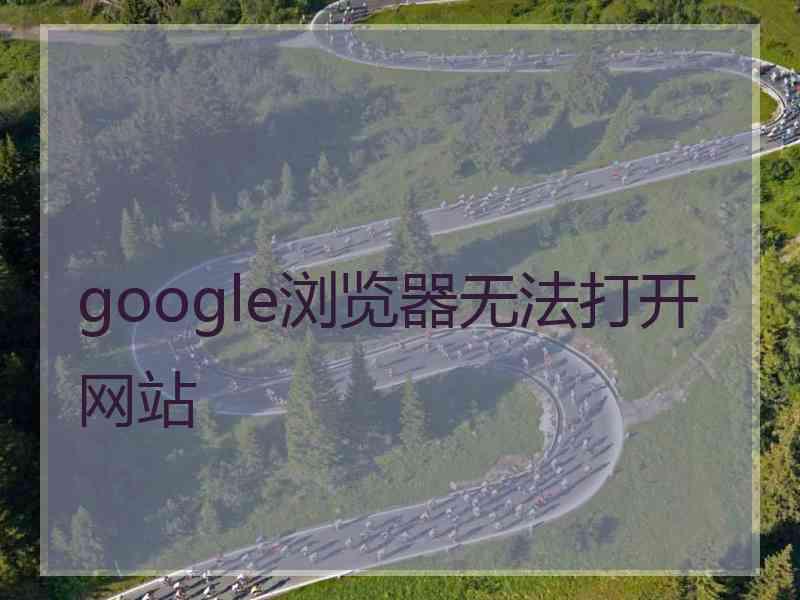 google浏览器无法打开网站