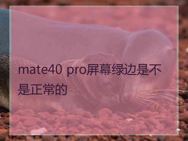 mate40 pro屏幕绿边是不是正常的