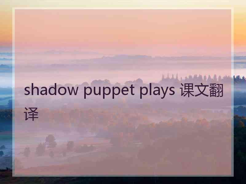 shadow puppet plays 课文翻译