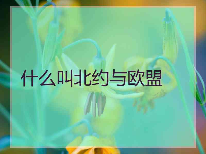 什么叫北约与欧盟