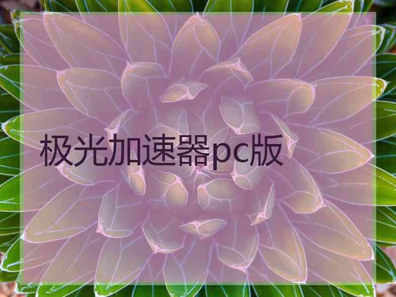 极光加速器pc版