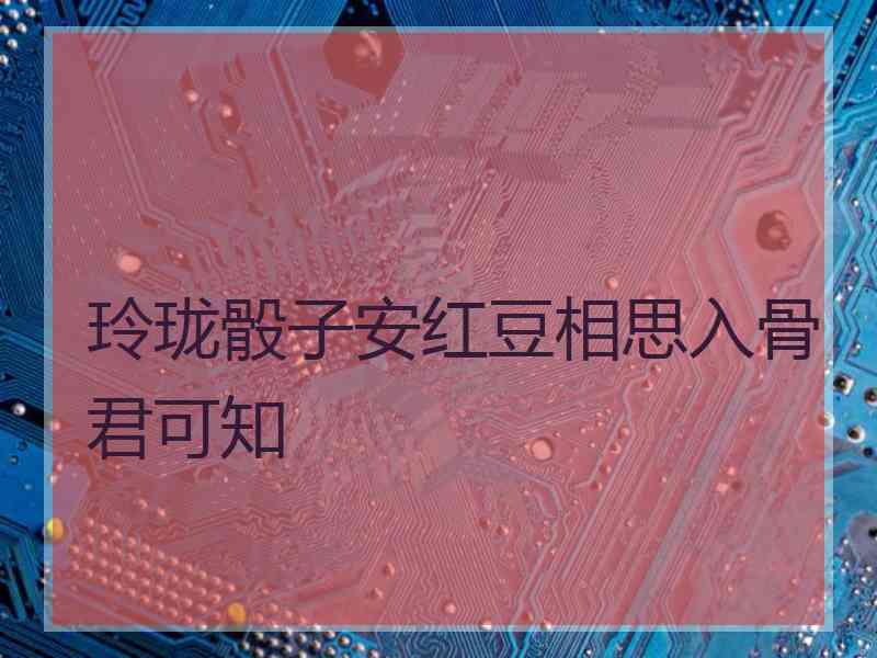 玲珑骰子安红豆相思入骨君可知