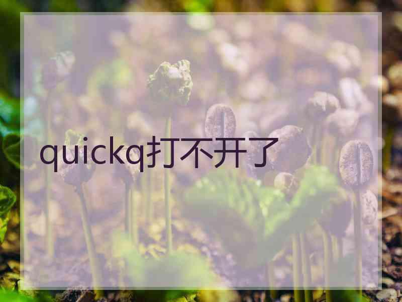 quickq打不开了