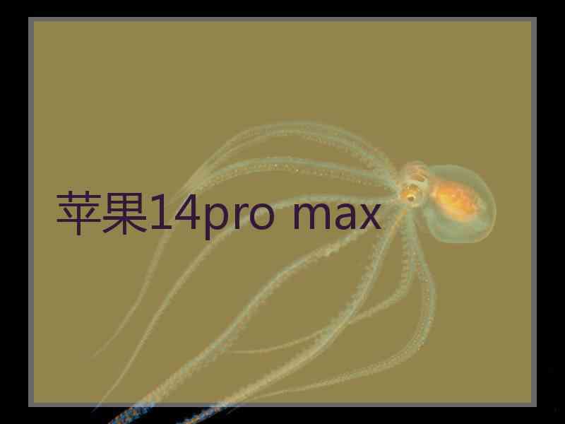 苹果14pro max