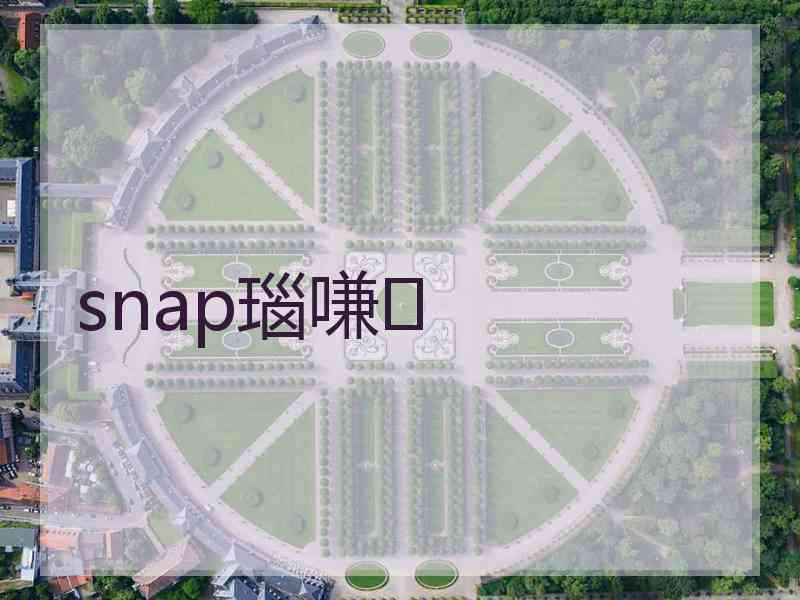 snap瑙嗛