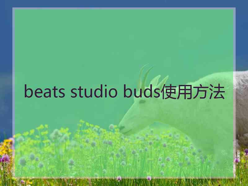 beats studio buds使用方法