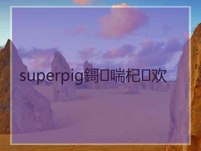 superpig鎶㈣喘杞欢