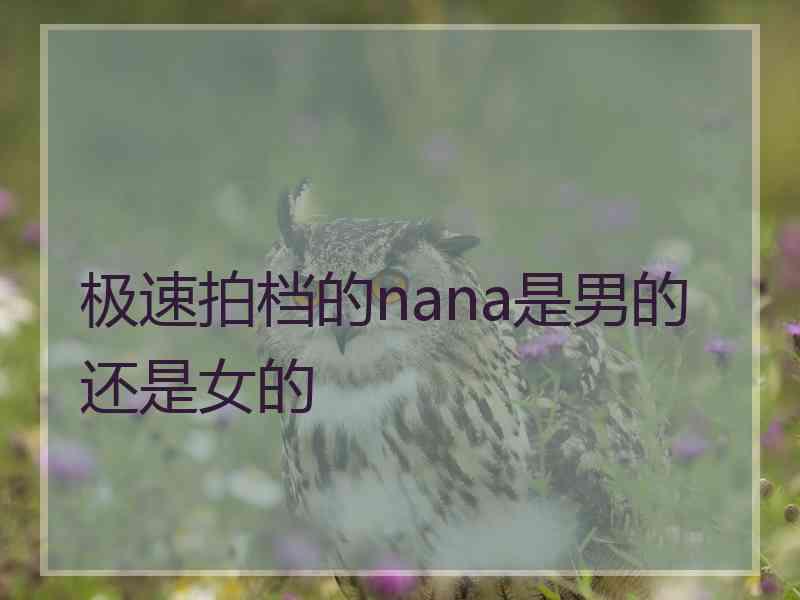 极速拍档的nana是男的还是女的