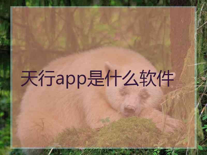 天行app是什么软件