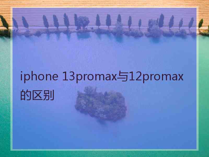 iphone 13promax与12promax的区别