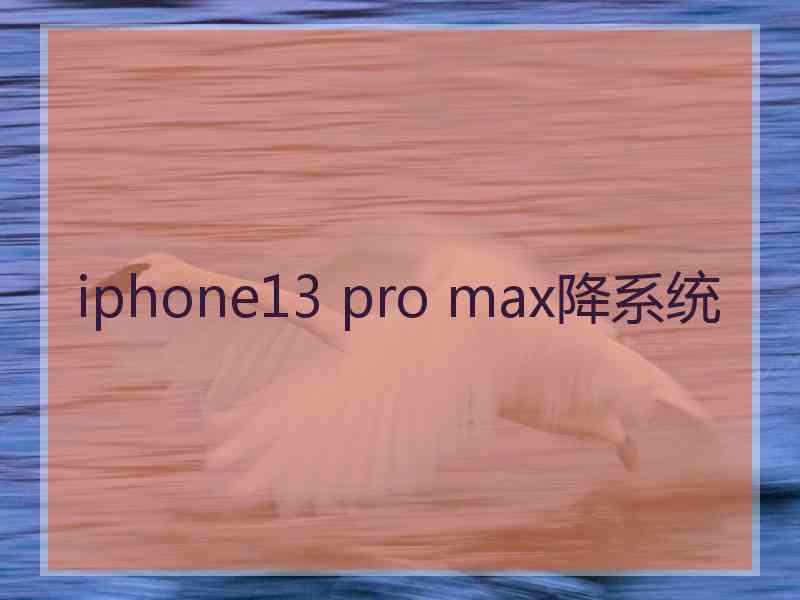 iphone13 pro max降系统