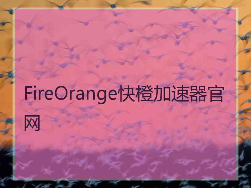 FireOrange快橙加速器官网