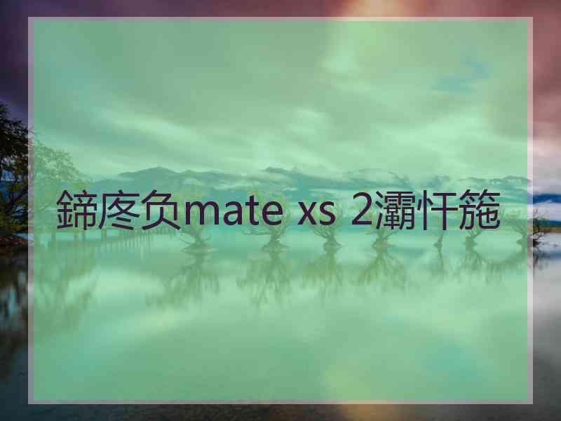 鍗庝负mate xs 2灞忓箷