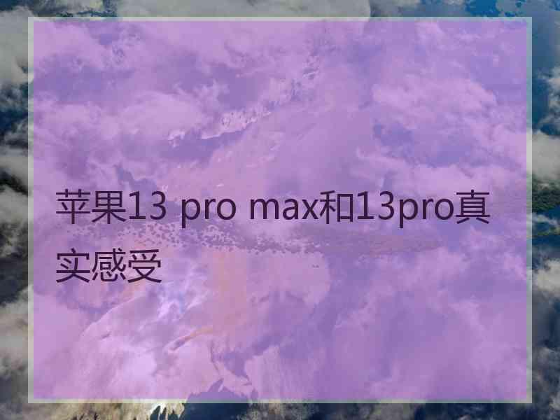 苹果13 pro max和13pro真实感受