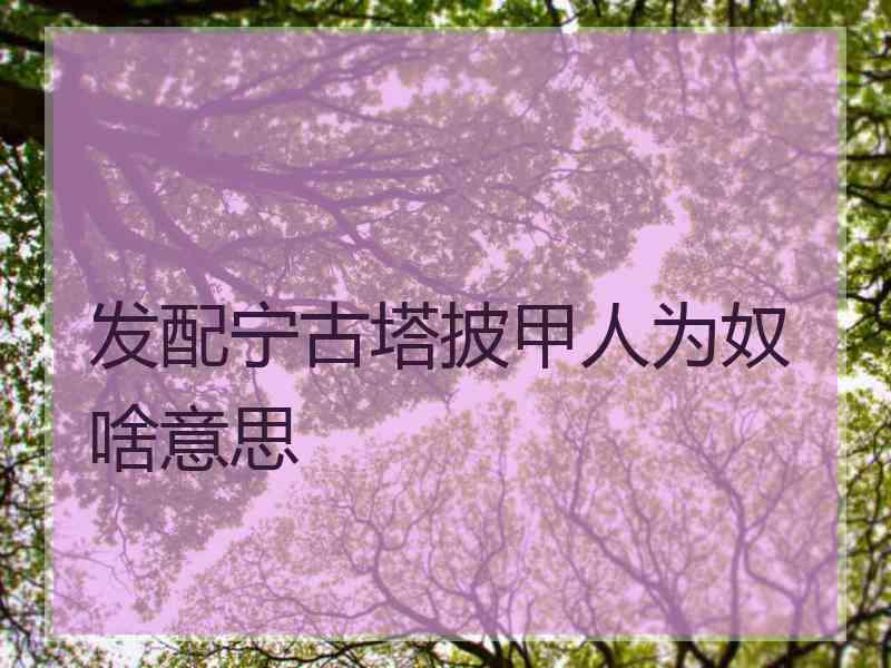 发配宁古塔披甲人为奴啥意思