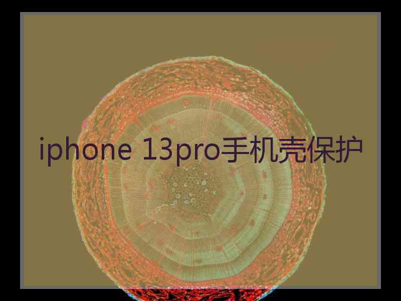 iphone 13pro手机壳保护