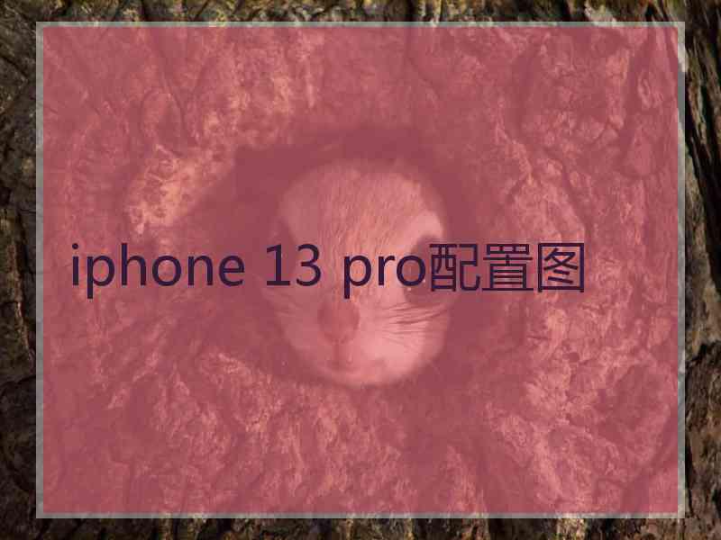 iphone 13 pro配置图