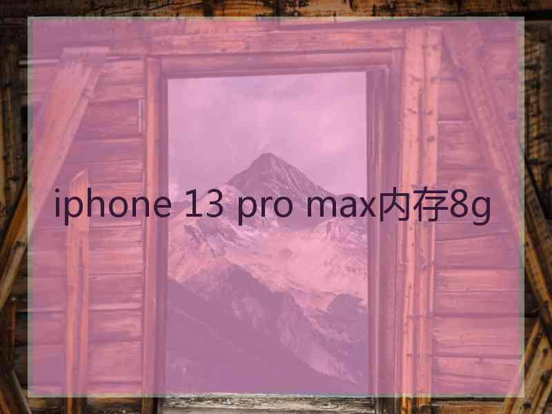 iphone 13 pro max内存8g