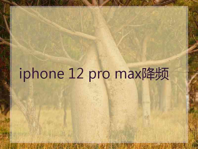 iphone 12 pro max降频