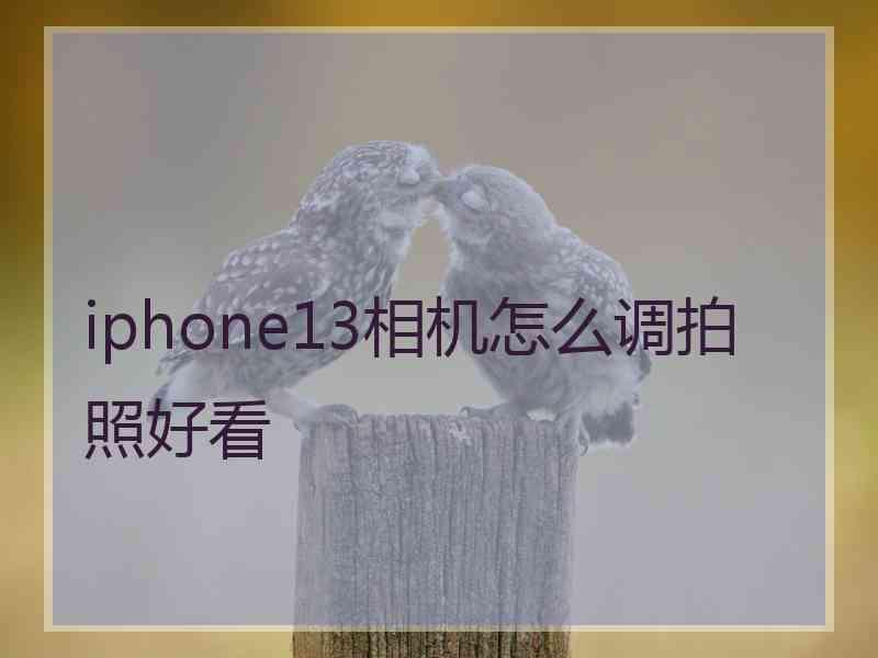 iphone13相机怎么调拍照好看