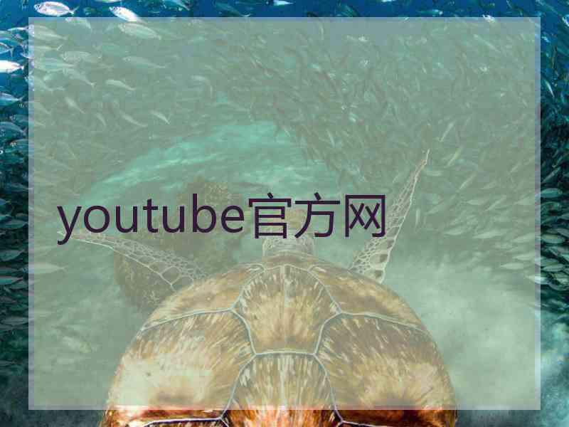 youtube官方网