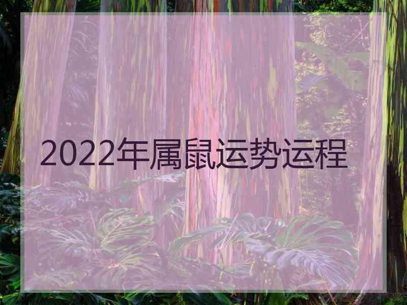 2022年属鼠运势运程