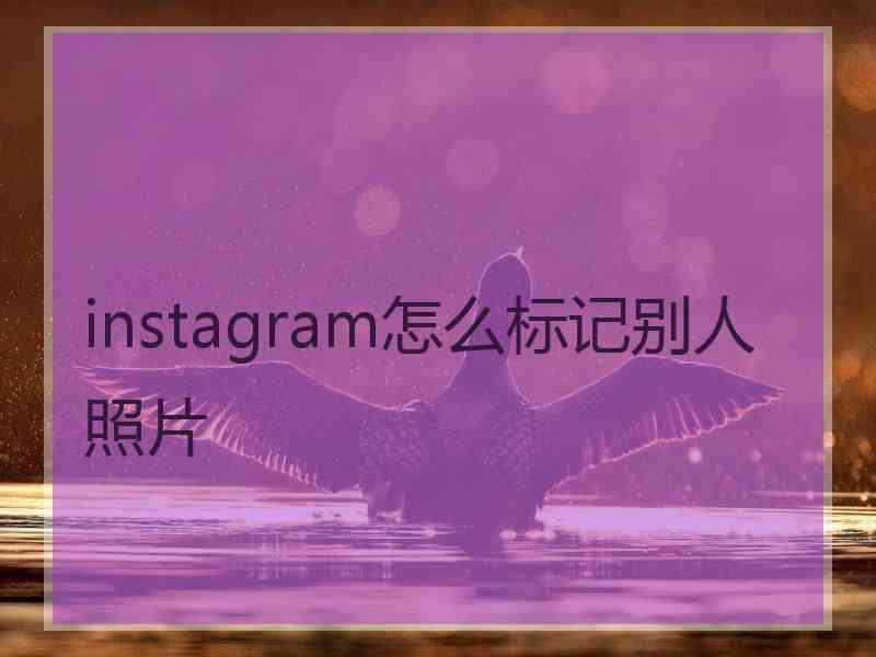 instagram怎么标记别人照片