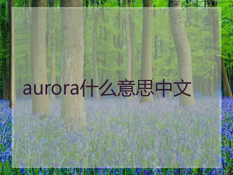 aurora什么意思中文