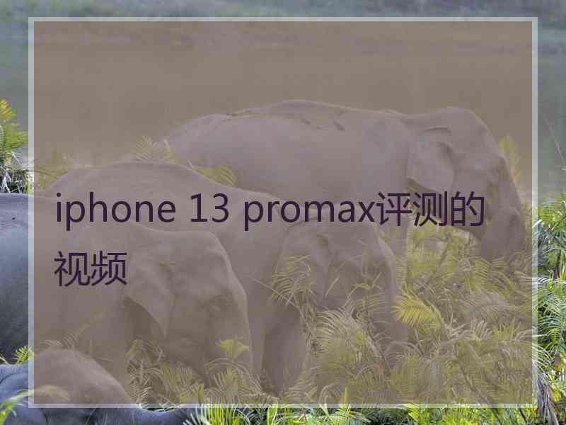 iphone 13 promax评测的视频