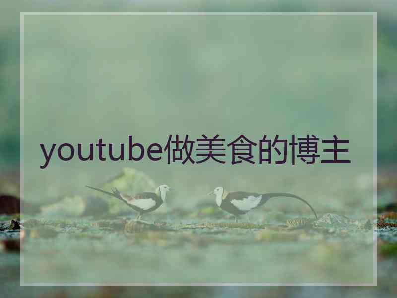 youtube做美食的博主