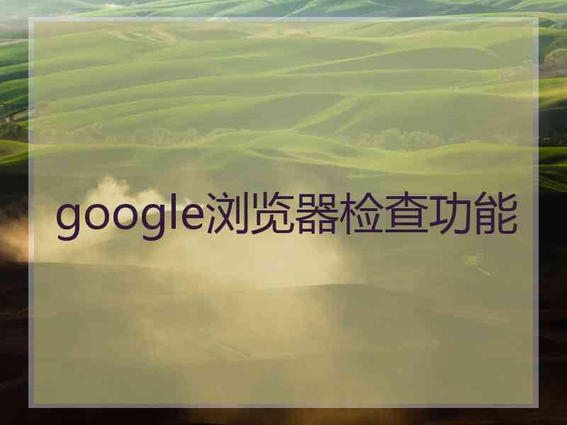 google浏览器检查功能