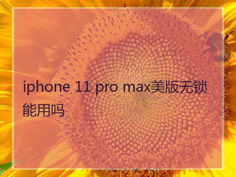 iphone 11 pro max美版无锁能用吗