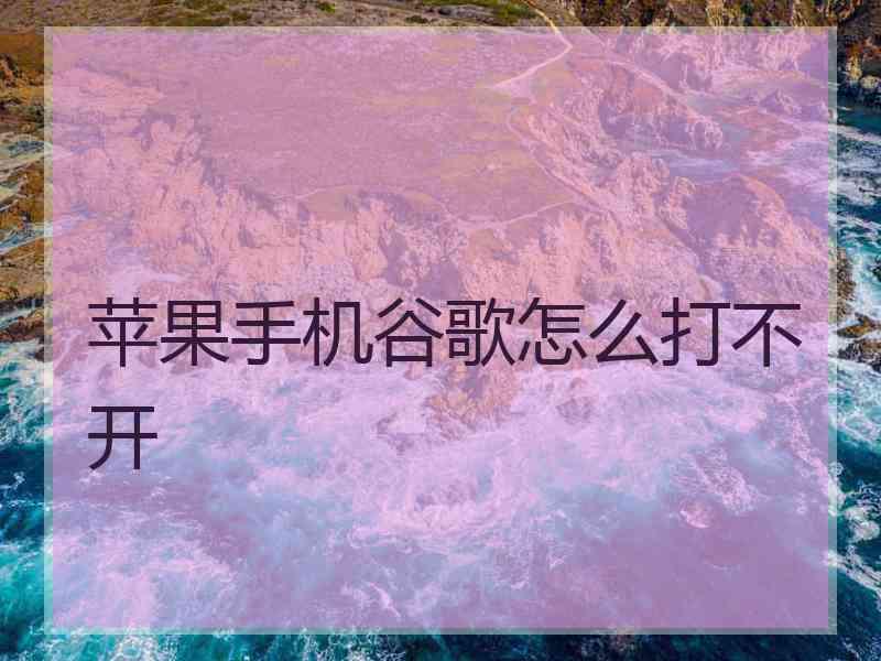 苹果手机谷歌怎么打不开