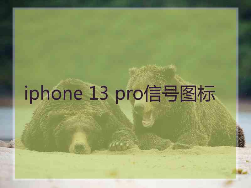 iphone 13 pro信号图标