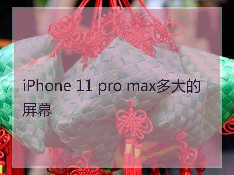 iPhone 11 pro max多大的屏幕