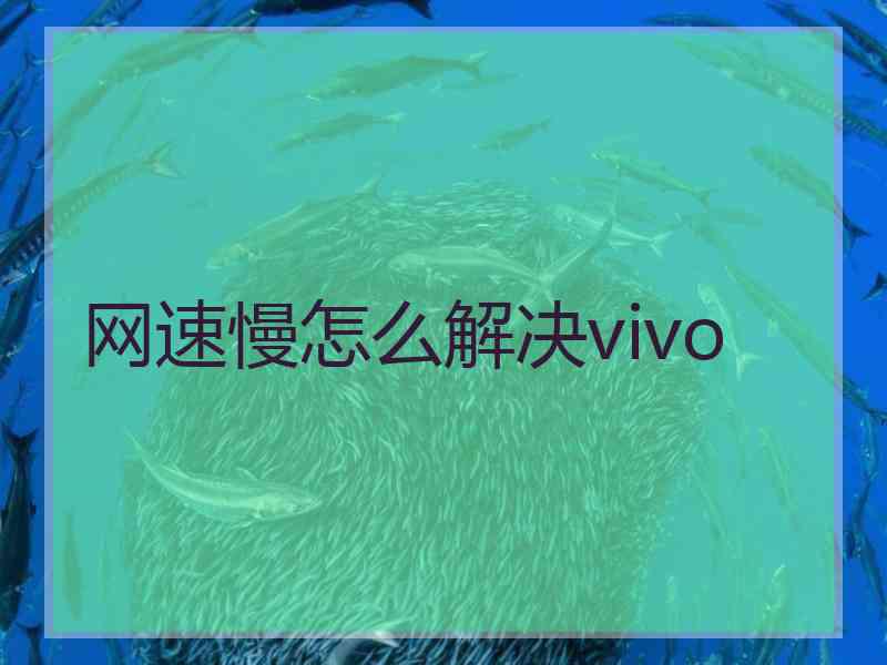 网速慢怎么解决vivo