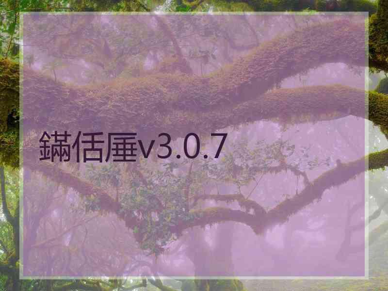 鏋佸厜v3.0.7