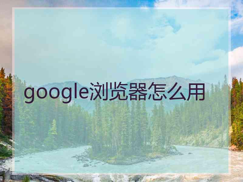 google浏览器怎么用