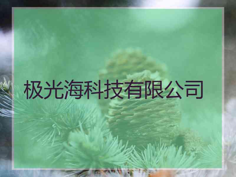 极光海科技有限公司