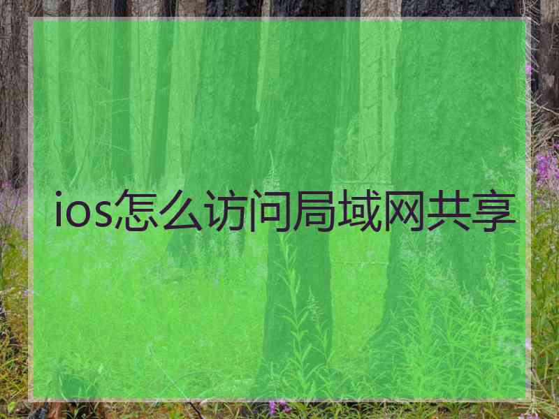 ios怎么访问局域网共享