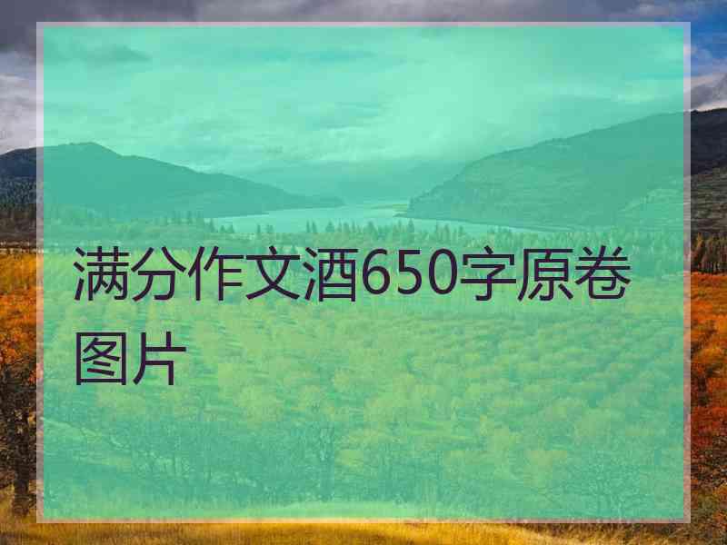 满分作文酒650字原卷图片