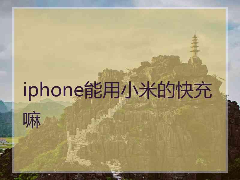 iphone能用小米的快充嘛