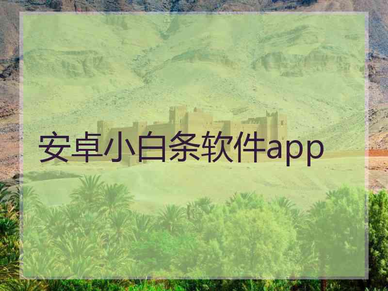 安卓小白条软件app