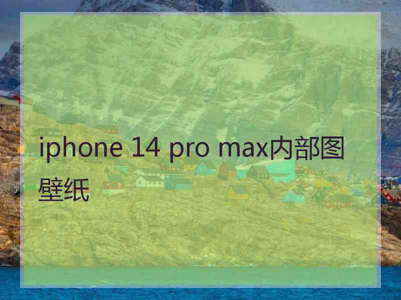 iphone 14 pro max内部图壁纸