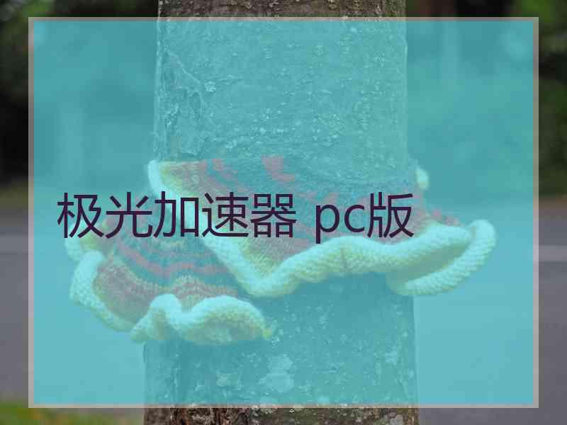 极光加速器 pc版