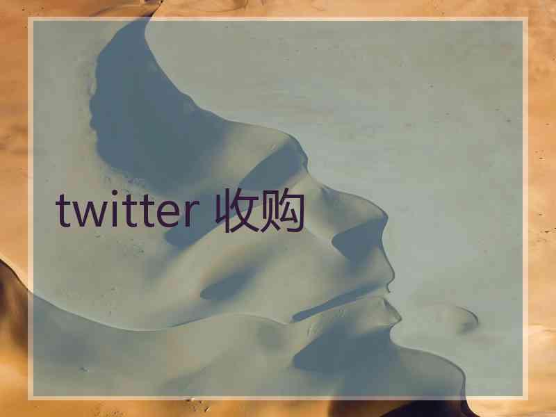 twitter 收购