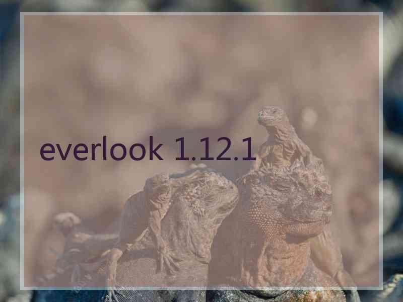 everlook 1.12.1