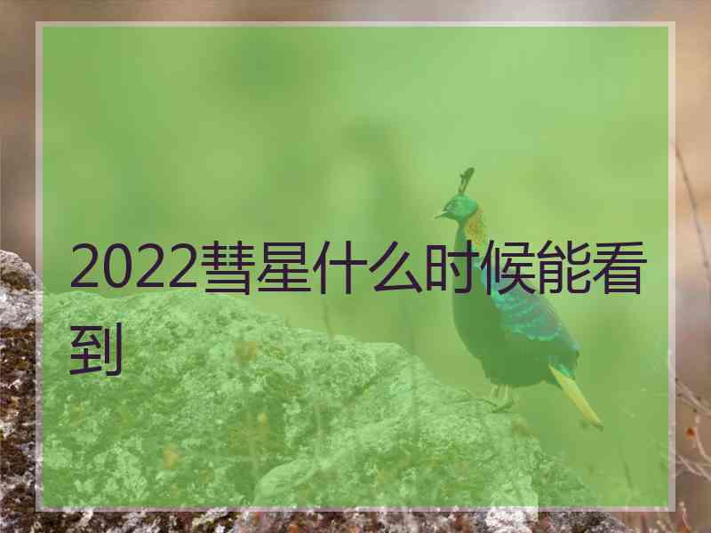 2022彗星什么时候能看到