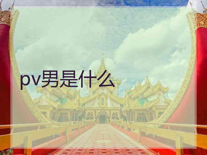 pv男是什么