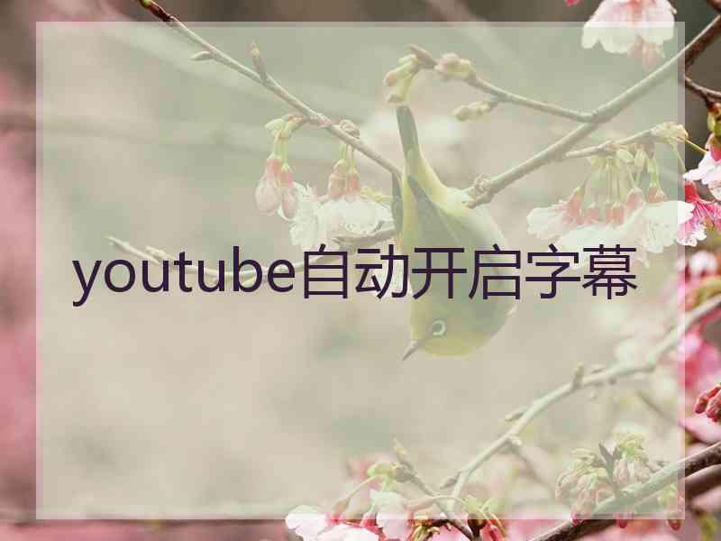 youtube自动开启字幕